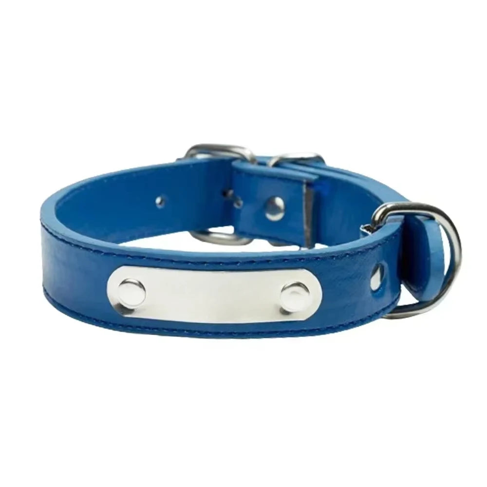 " Leather Collar for Pets – Durable, Comfortable, and Adjustable for Any Size!"
Perfect for puppies, medium, and large dogs, offering long-lasting support and stylish design for every walk.