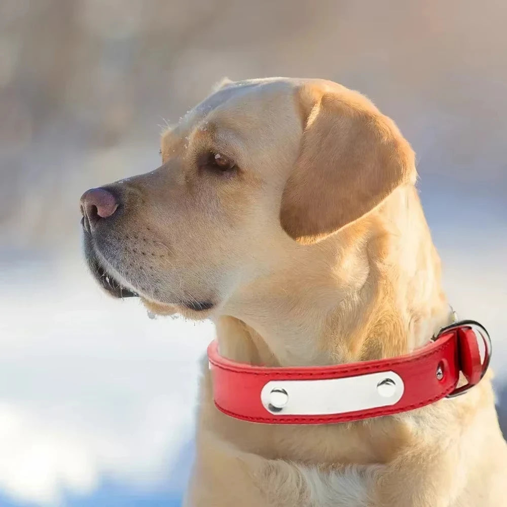 " Leather Collar for Pets – Durable, Comfortable, and Adjustable for Any Size!"
Perfect for puppies, medium, and large dogs, offering long-lasting support and stylish design for every walk.